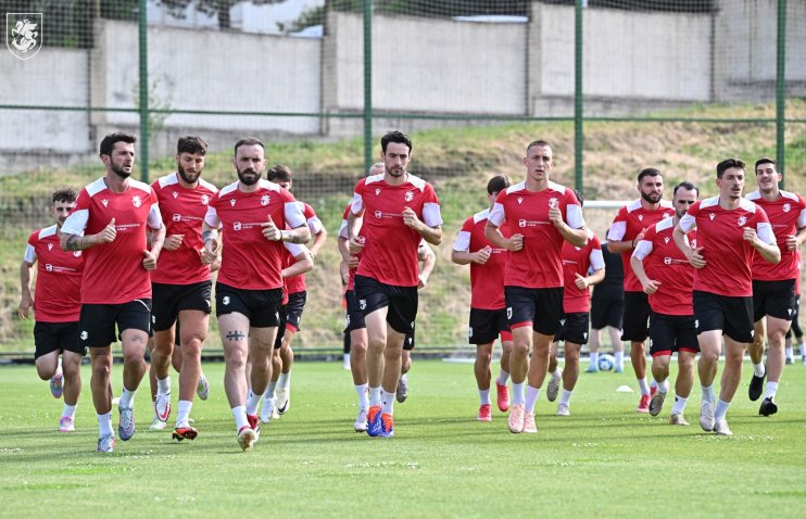 „როდესაც ნაკრებში ხარ, არ აქვს მნიშვნელობა ვის ეთამაშები“ - ამხანაგურებისთვის მზადება გრძელდება