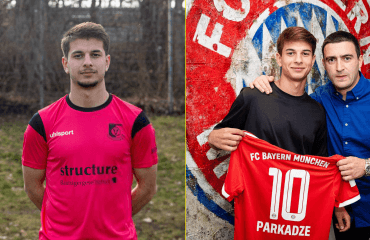 „გვჯერა, რომ დიდ დახმარებას გაგვიწევს“ - პარკაძე ავსტრიაში ბრუნდება