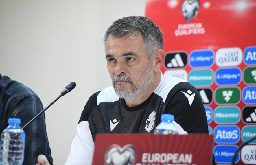ზურიკო დავითაშვილი, ვილი სანიოლი