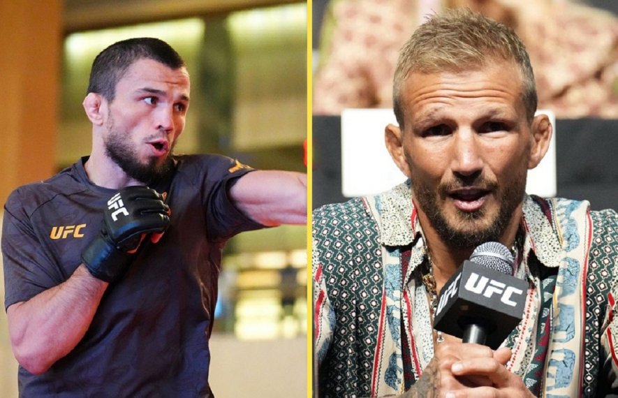 მერაბ დვალიშვილი, თი ჯეი დილაშოუ, უმარ ნურმაგომედოვი