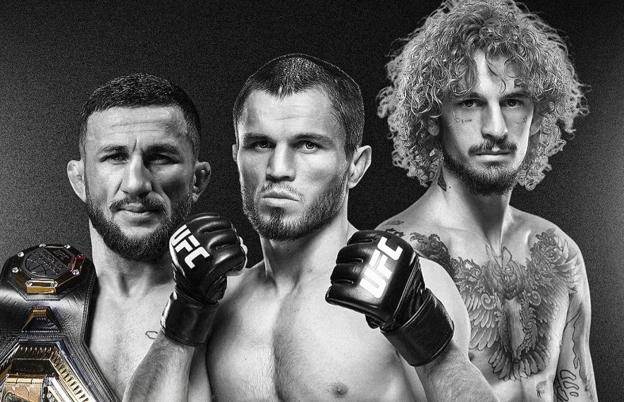 მერაბ დვალიშვილი, შონ ომალი, უმარ ნურმაგომედოვი