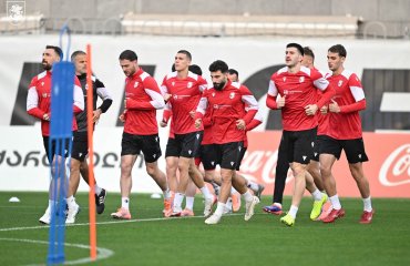 საქართველოს ნაკრებმა ესპანეთთან მატჩისთვის მზადება დაიწყო