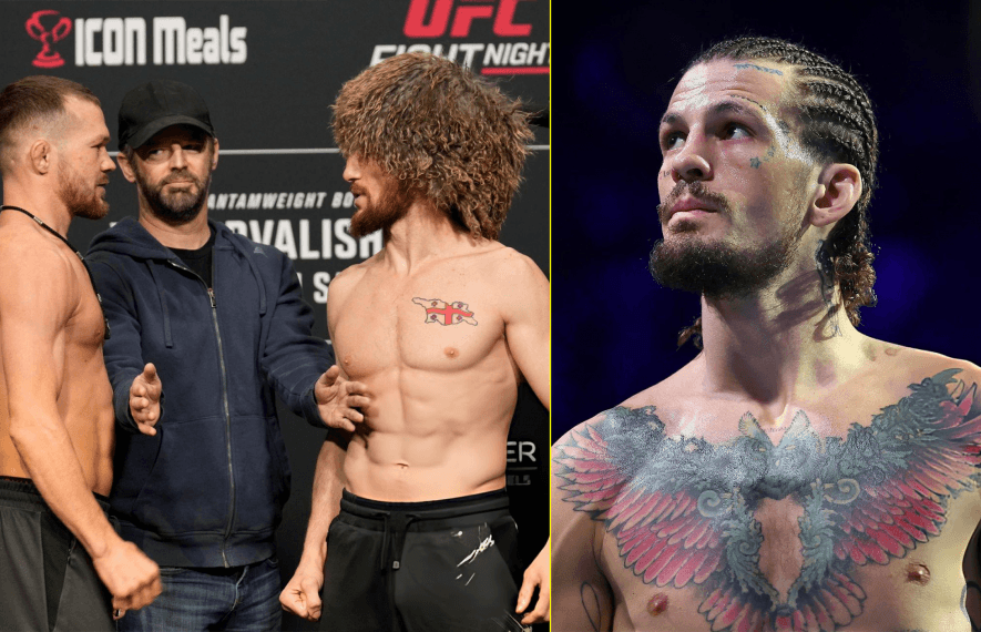 მერაბ დვალიშვილი, პიოტრ იანი, შონ ომალი, ტიმ უელჩი