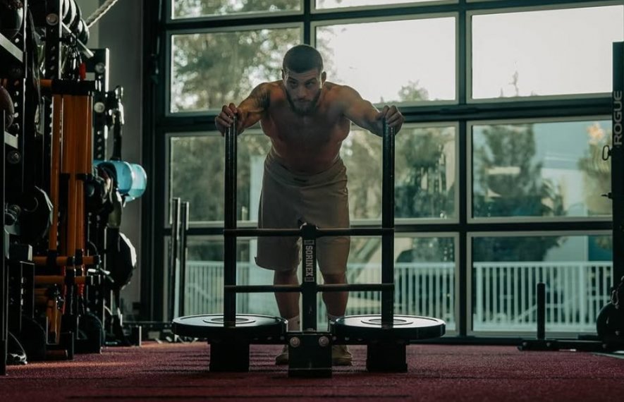 ალექსანდრე თოფურია