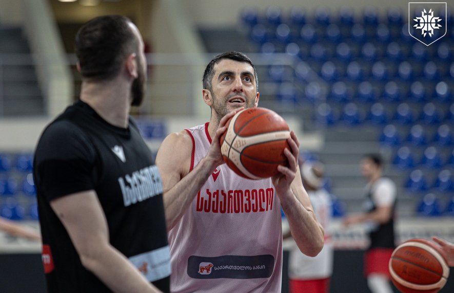 თორნიკე შენგელია, ალეკსანდარ ძიკიჩი