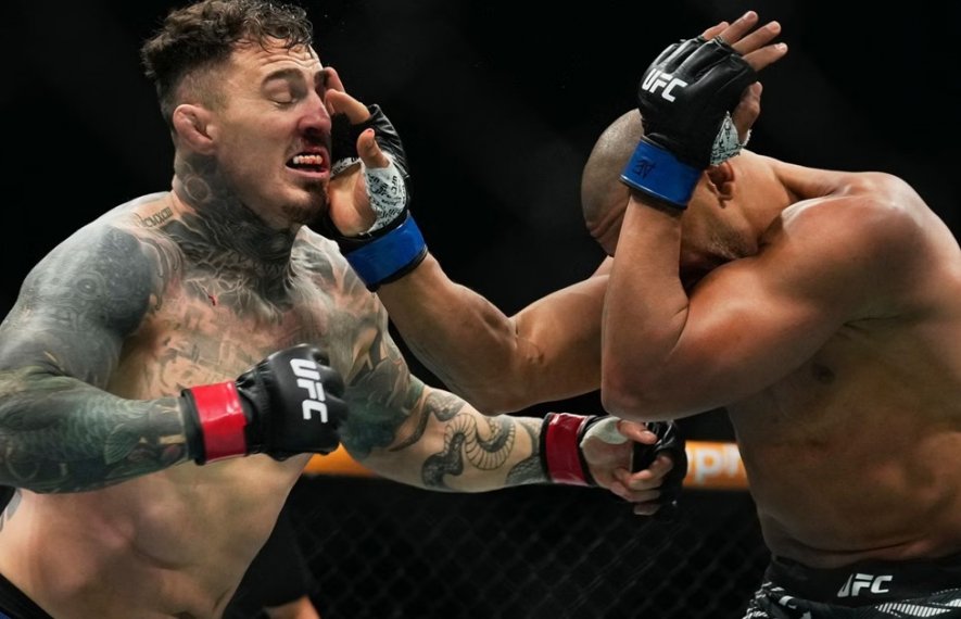 სირილ განი, ტომ ასპინალი