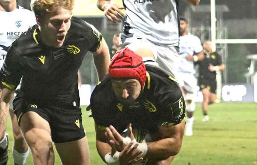 შავი ლომი