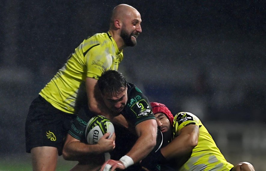 შავი ლომი