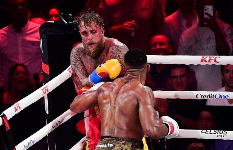 პოლი: მომზადებისას შეცდომა დავუშვი, ჯოშუასთან უკეთ ბრძოლა შემეძლო