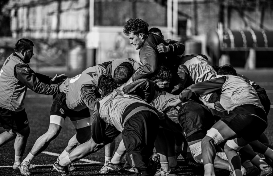 შავი ლომი