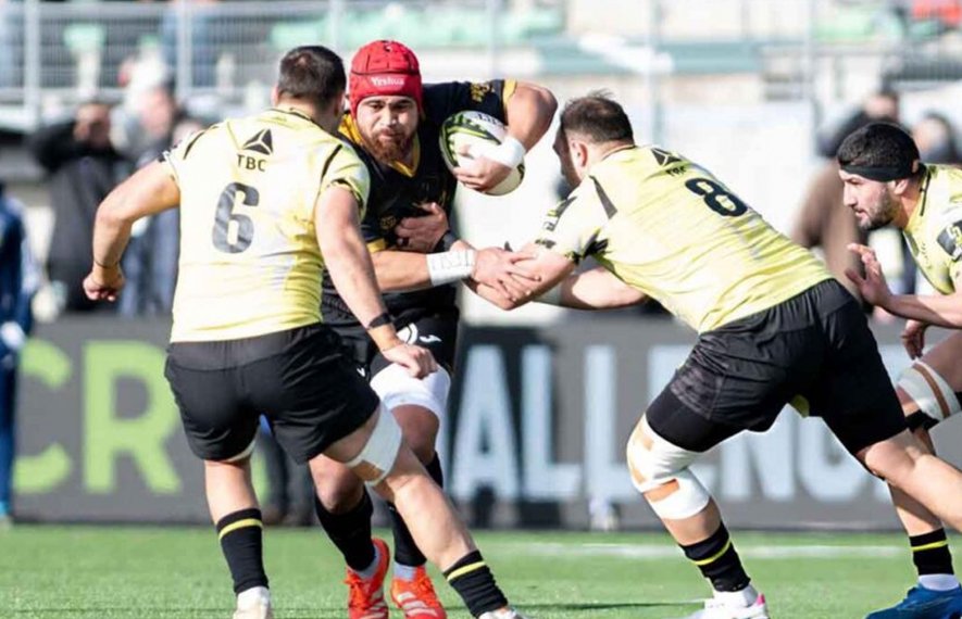 შავი ლომი