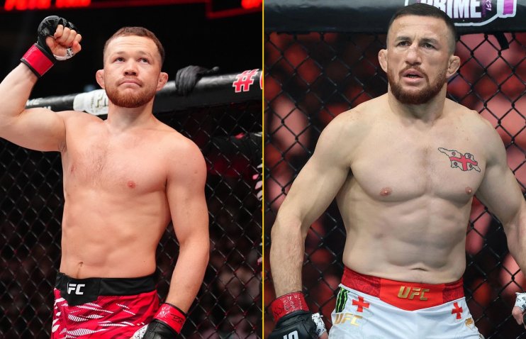 ხარი, რომელსაც კარიბჭისკენ მიერეკებოდნენ | პიოტრ იანი დვალიშვილზე