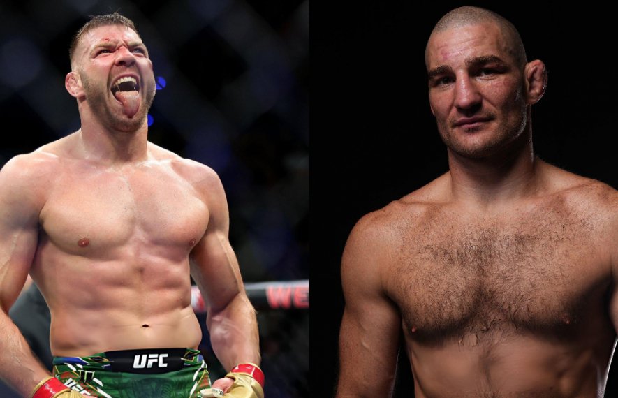 ხამზატ ჩიმაევი, შონ სტრიკლენდი, დრიკუს დუ პლესი