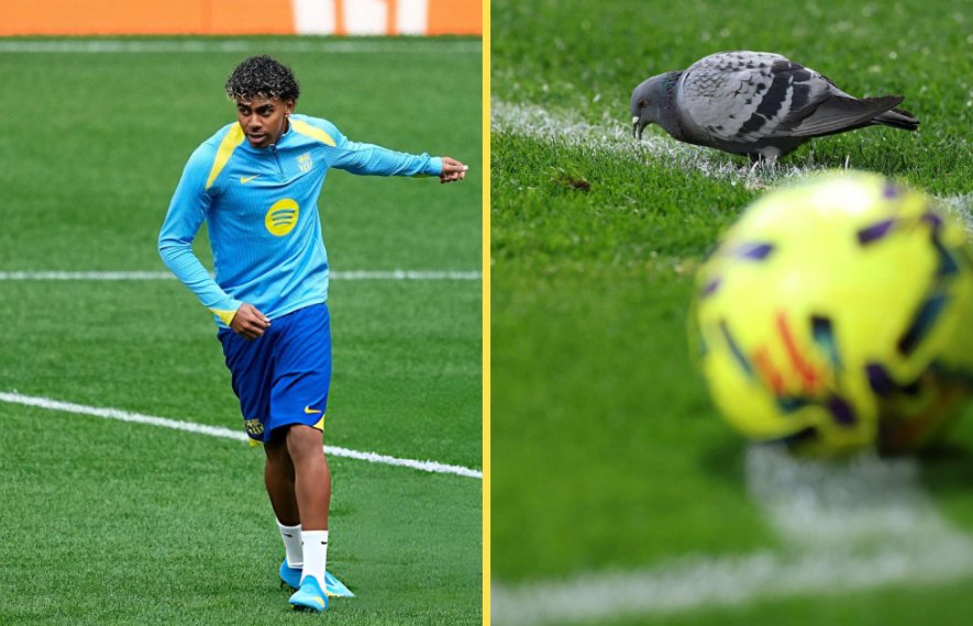 ბალახის სიგრძის შემოწმება მოითხოვეს | ბარსელონამ უეფას მიმართა