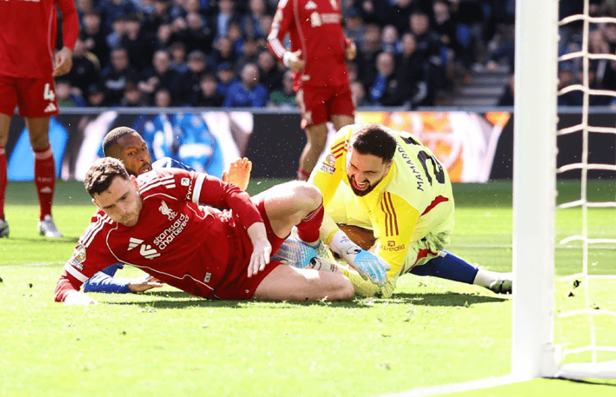 გიორგი მამარდაშვილი