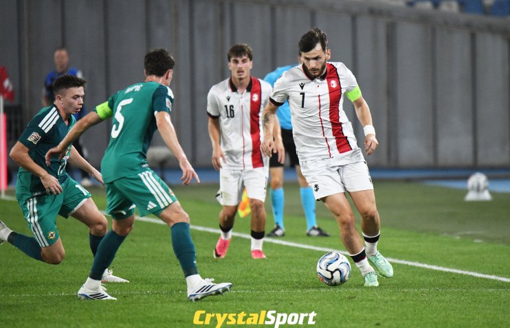 საქართველო - ჩრდ. ირლანდია 0:1 | ფოტოამბავი