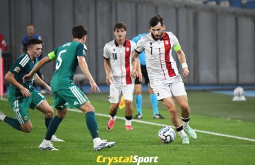საქართველო - ჩრდ. ირლანდია 0:1 | ფოტოამბავი