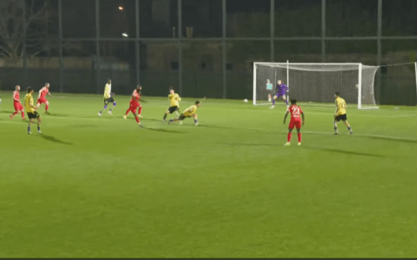 კოლხეთი - დილა 1:3