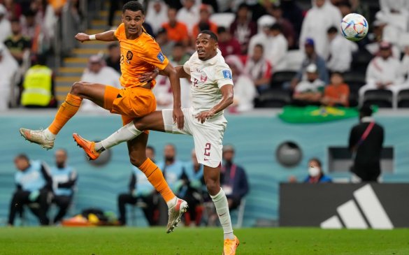 ნიდერლანდები - კატარი 2:0